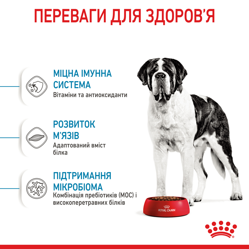 Royal Canin Giant Junior корм для юніорів гігантських порід - 15 кг
