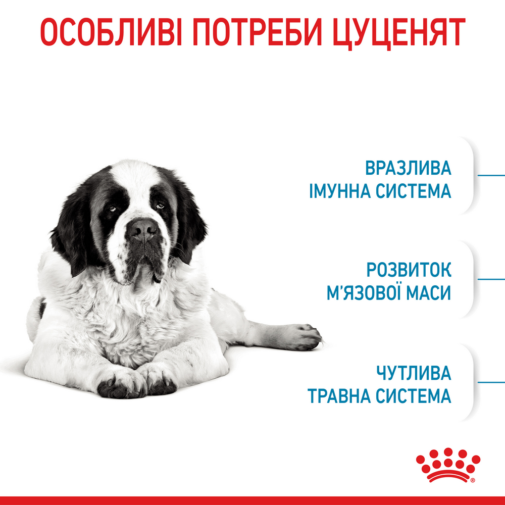 Royal Canin Giant Junior корм для юніорів гігантських порід - 15 кг