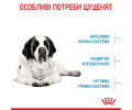 Royal Canin Giant Junior корм для юніорів гігантських порід - 15 кг