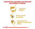 Royal Canin Yorkshire Terrier корм для собак породи йоркширський тер'єр - 1.5 кг