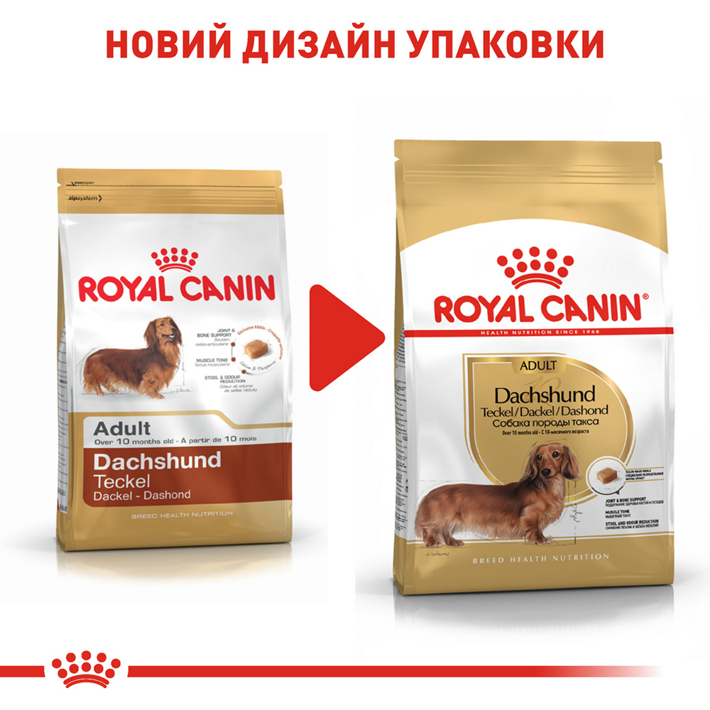 Royal Canin Dachshund Adult корм для собак породи такса - 1.5 кг