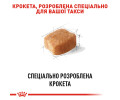 Royal Canin Dachshund Adult корм для собак породи такса - 1.5 кг