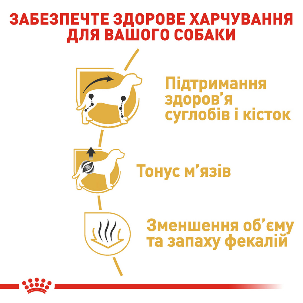 Royal Canin Dachshund Adult корм для собак породи такса - 1.5 кг