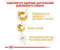 Royal Canin Dachshund Adult корм для собак породи такса - 1.5 кг