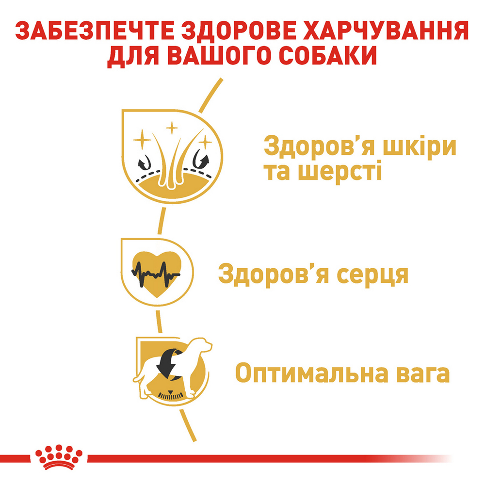 Royal Canin Golden Retriever Adult корм для собак породи золотистий ретривер - 12 кг