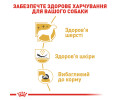 Royal Canin Westie корм для собак породи вест-хайленд-уайт-тер’єр - 3 кг