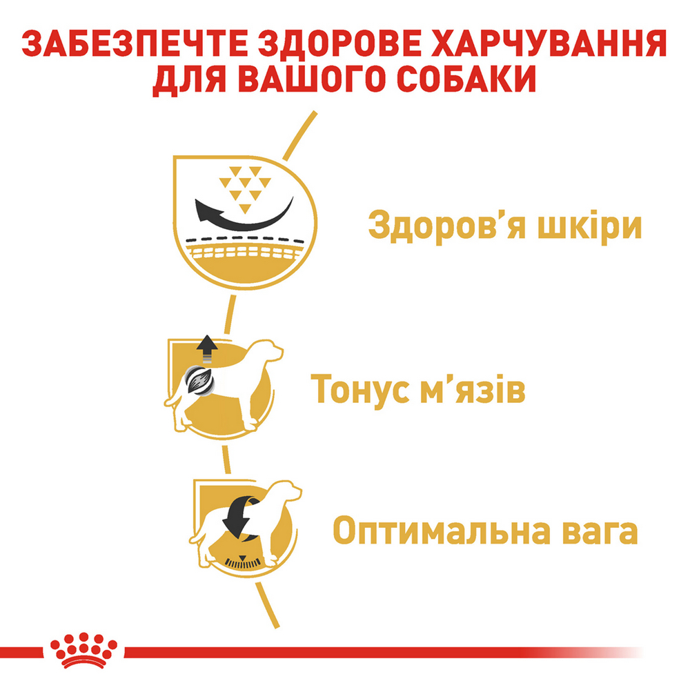 Royal Canin Pug Adult корм для собак породи мопс - 3 кг