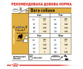 Royal Canin Pug Adult корм для собак породи мопс - 3 кг