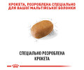 Royal Canin Maltese Adult корм для собак породи мальтійська болонка - 500 г