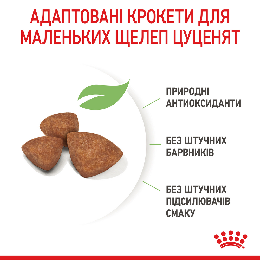 Royal Canin Xsmall Puppy корм для цуценят мініатюрних порід від 2 до 10 місяців - 500 г