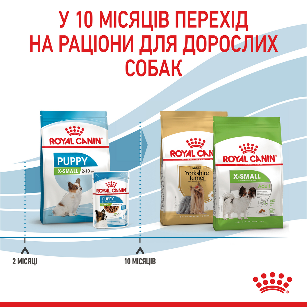 Royal Canin Xsmall Puppy корм для цуценят мініатюрних порід від 2 до 10 місяців - 500 г
