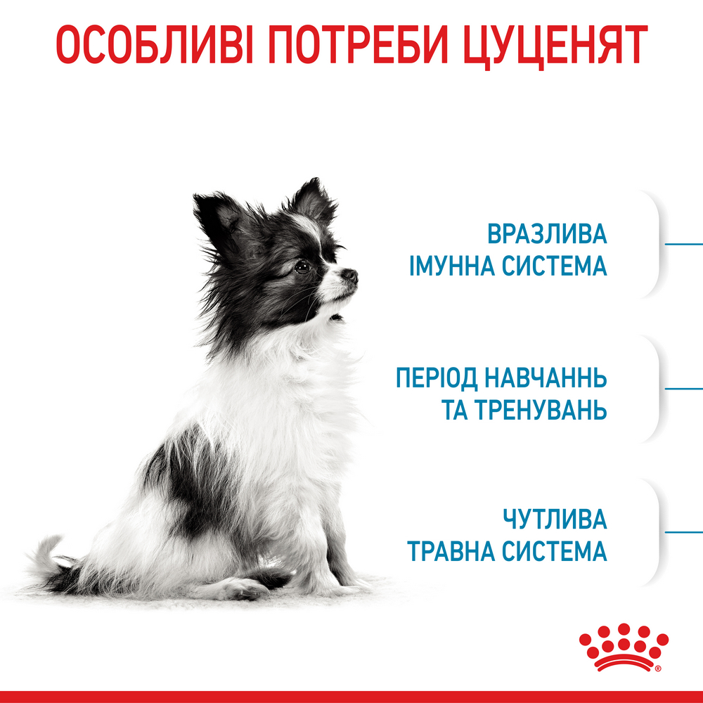 Royal Canin Xsmall Puppy корм для цуценят мініатюрних порід від 2 до 10 місяців - 3 кг