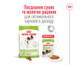 Royal Canin Xsmall Adult корм для собак мініатюрних порід - 500 г