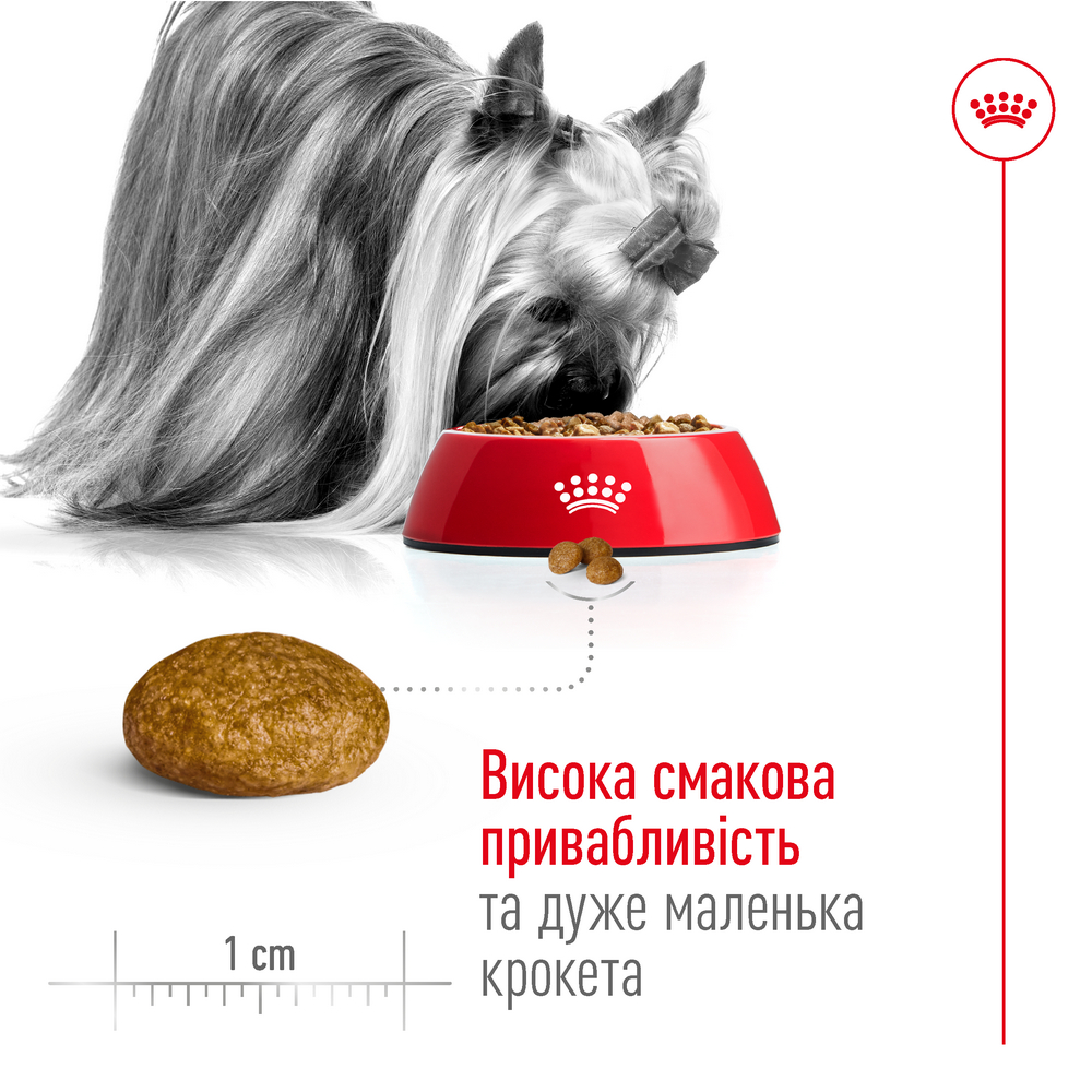 Royal Canin Xsmall Adult корм для собак мініатюрних порід - 500 г