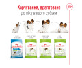 Royal Canin Xsmall Adult корм для собак мініатюрних порід - 1.5 кг