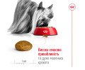 Royal Canin Xsmall Adult корм для собак мініатюрних порід - 3 кг