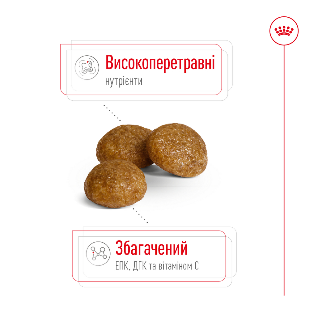Royal Canin Xsmall Adult корм для собак мініатюрних порід - 3 кг