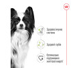 Royal Canin Xsmall Adult корм для собак мініатюрних порід - 3 кг