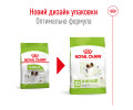 Royal Canin Xsmall Adult корм для собак мініатюрних порід - 3 кг