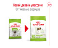 Royal Canin Xsmall Mature +8 корм для літніх собак мініатюрних порід - 3 кг