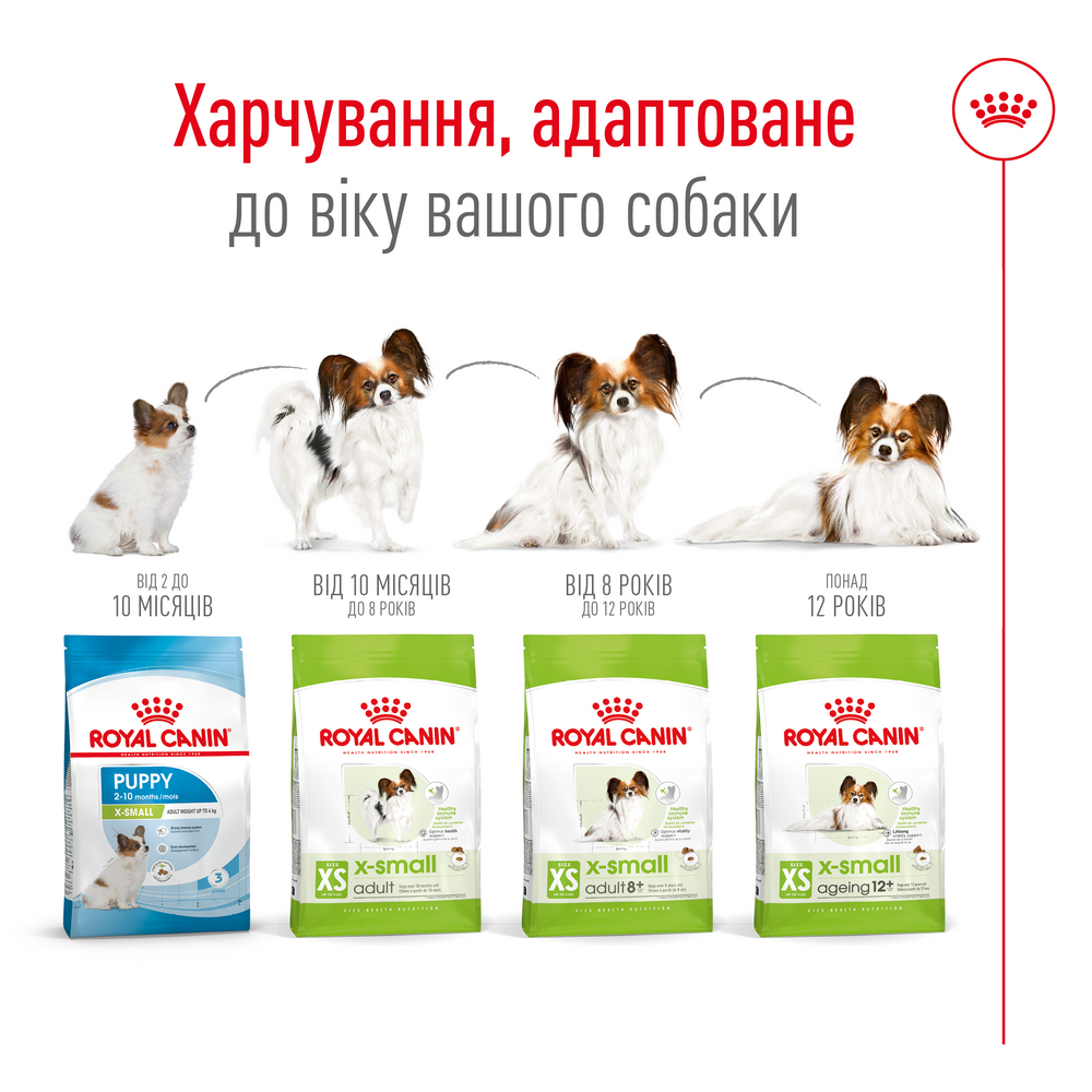 Royal Canin Xsmall Mature +8 корм для літніх собак мініатюрних порід - 3 кг