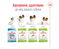 Royal Canin Xsmall Mature +8 корм для літніх собак мініатюрних порід - 3 кг