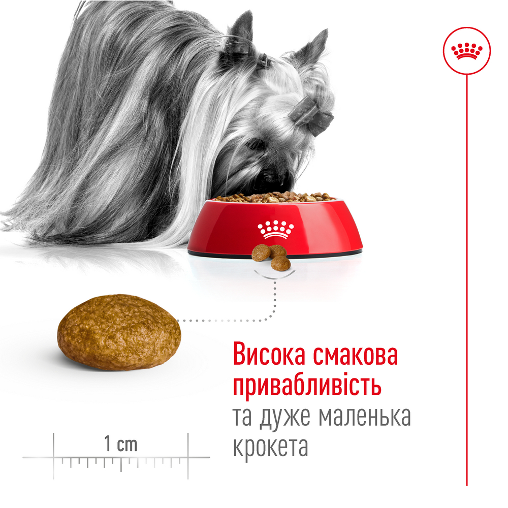 Royal Canin Xsmall Mature +8 корм для літніх собак мініатюрних порід - 3 кг