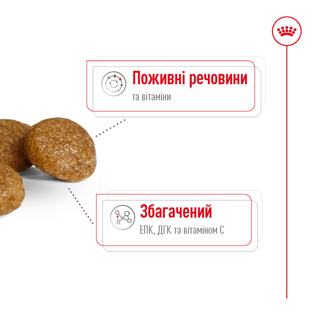 Royal Canin Xsmall Mature +8 корм для літніх собак мініатюрних порід - 3 кг