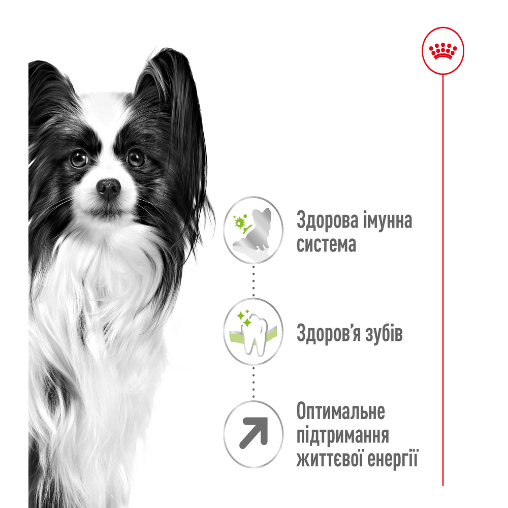 Royal Canin Xsmall Mature +8 корм для літніх собак мініатюрних порід - 3 кг