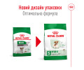 Royal Canin Mini Ageing 12+ корм для літніх собак малих порід від 12 років - 800 г