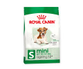 Royal Canin Mini Ageing 12+ корм для літніх собак малих порід від 12 років - 800 г