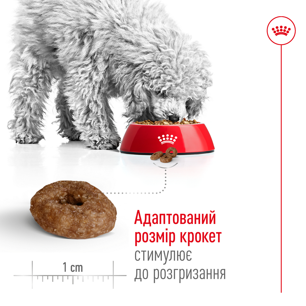 Royal Canin Mini Ageing 12+ корм для літніх собак малих порід від 12 років - 800 г