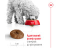 Royal Canin Mini Ageing 12+ корм для літніх собак малих порід від 12 років - 800 г