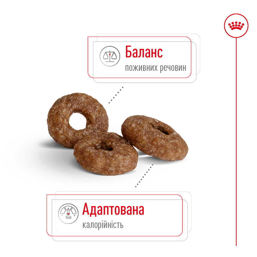Royal Canin Mini Ageing 12+ корм для літніх собак малих порід від 12 років - 800 г