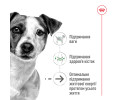 Royal Canin Mini Ageing 12+ корм для літніх собак малих порід від 12 років - 800 г