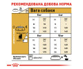 Royal Canin Jack Russell Terrier Adult корм для собак породи джек-рассел-тер'єр - 1.5 кг