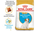 Royal Canin Jack Russell Terrier Puppy корм для цуценят породи джек-рассел-тер'єр - 1.5 кг