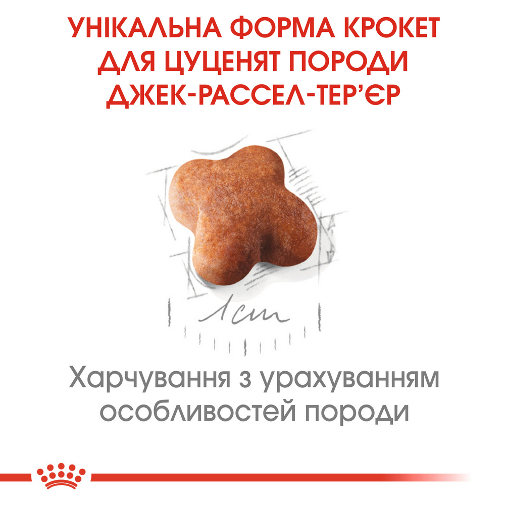Royal Canin Jack Russell Terrier Puppy корм для цуценят породи джек-рассел-тер'єр - 1.5 кг