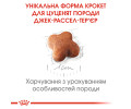 Royal Canin Jack Russell Terrier Puppy корм для цуценят породи джек-рассел-тер'єр - 1.5 кг