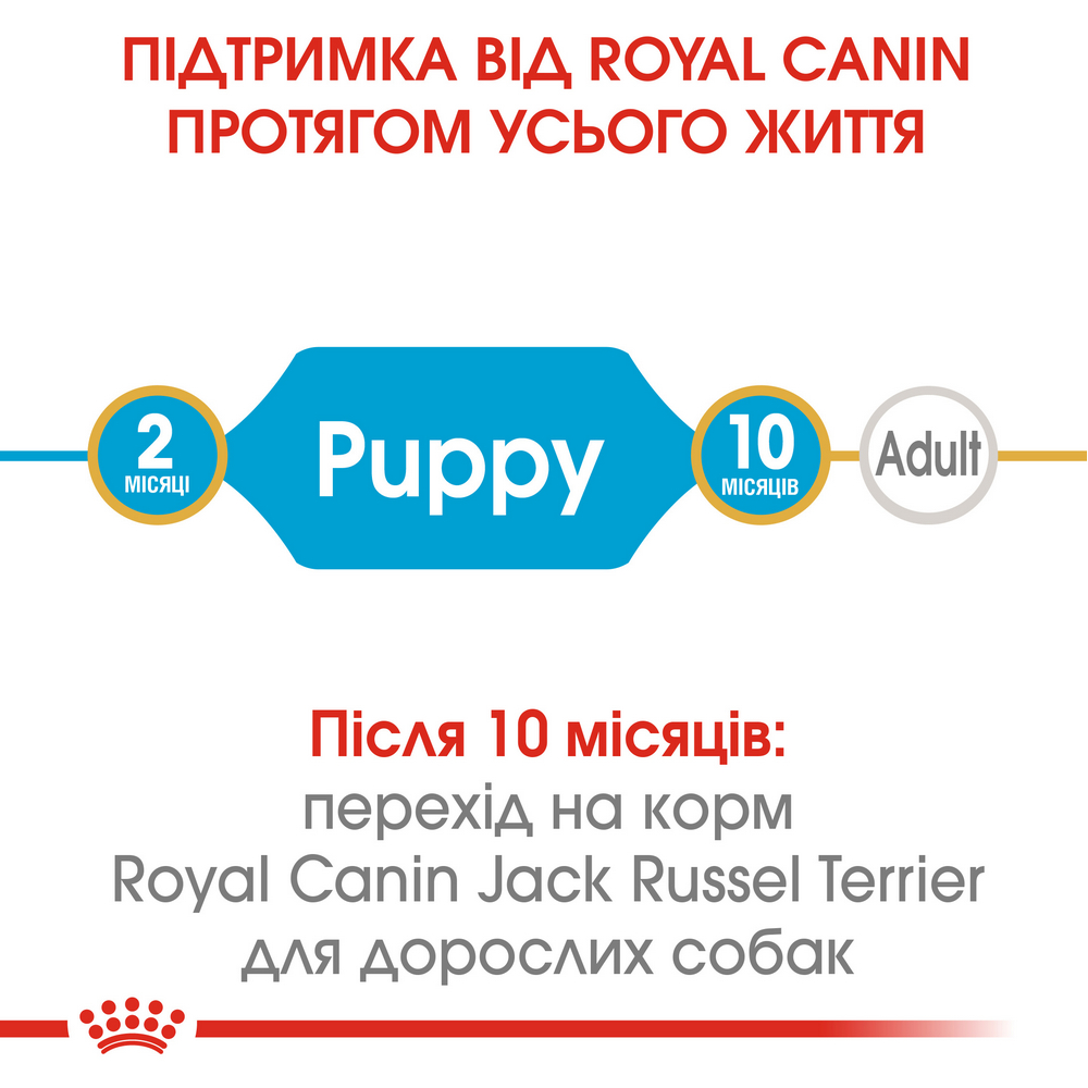 Royal Canin Jack Russell Terrier Puppy корм для цуценят породи джек-рассел-тер'єр - 1.5 кг