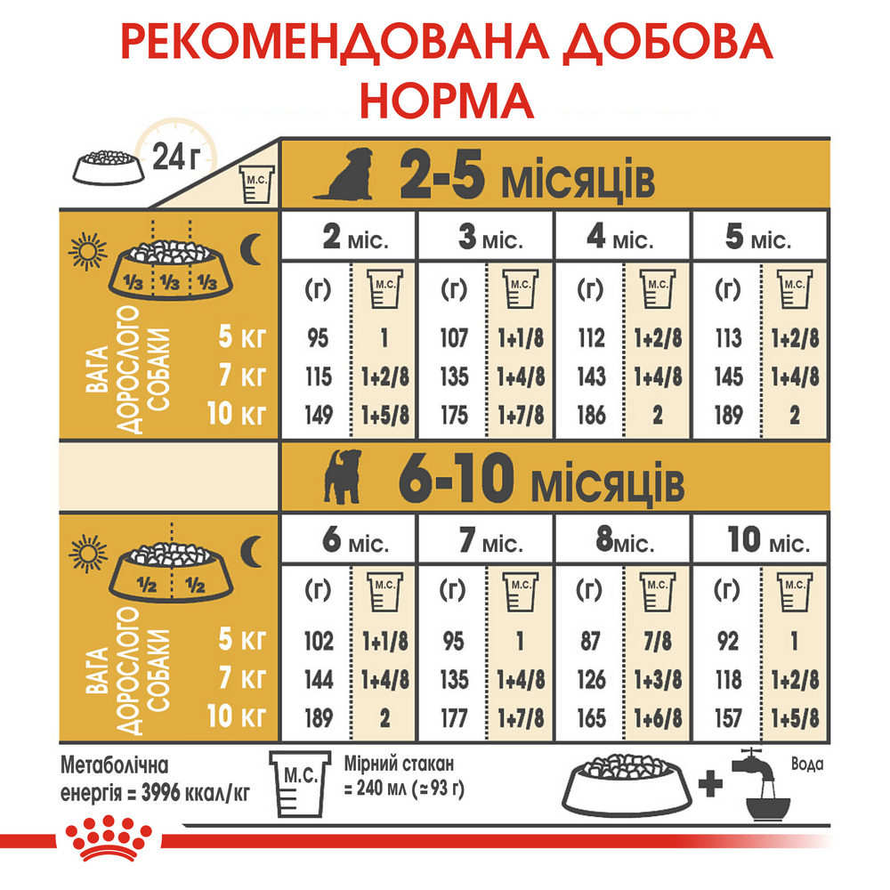Royal Canin Jack Russell Terrier Puppy корм для цуценят породи джек-рассел-тер'єр - 1.5 кг