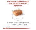 Royal Canin Chihuahua Puppy корм для цуценят породи чихуахуа - 500 г