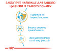 Royal Canin Chihuahua Puppy корм для цуценят породи чихуахуа - 500 г
