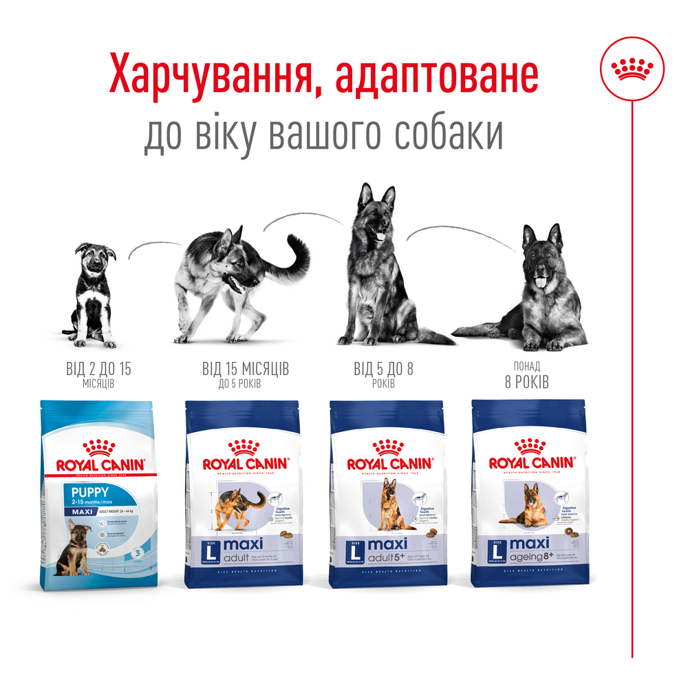 Royal Canin Maxi Ageing 8+ корм для літніх собак великих порід - 15 кг