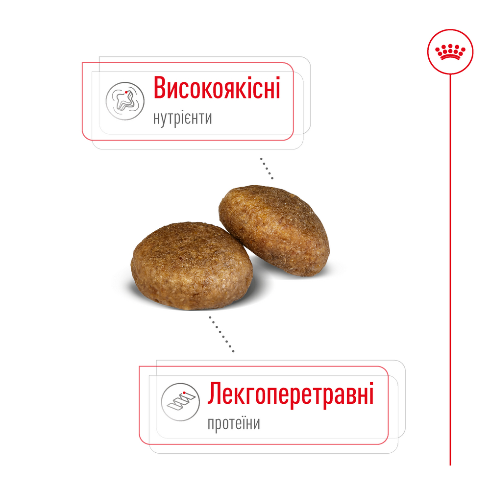 Royal Canin Maxi Ageing 8+ корм для літніх собак великих порід - 15 кг