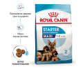 Royal Canin Maxi Starter корм для цуценят великих порід до 2-місячного віку - 4 кг