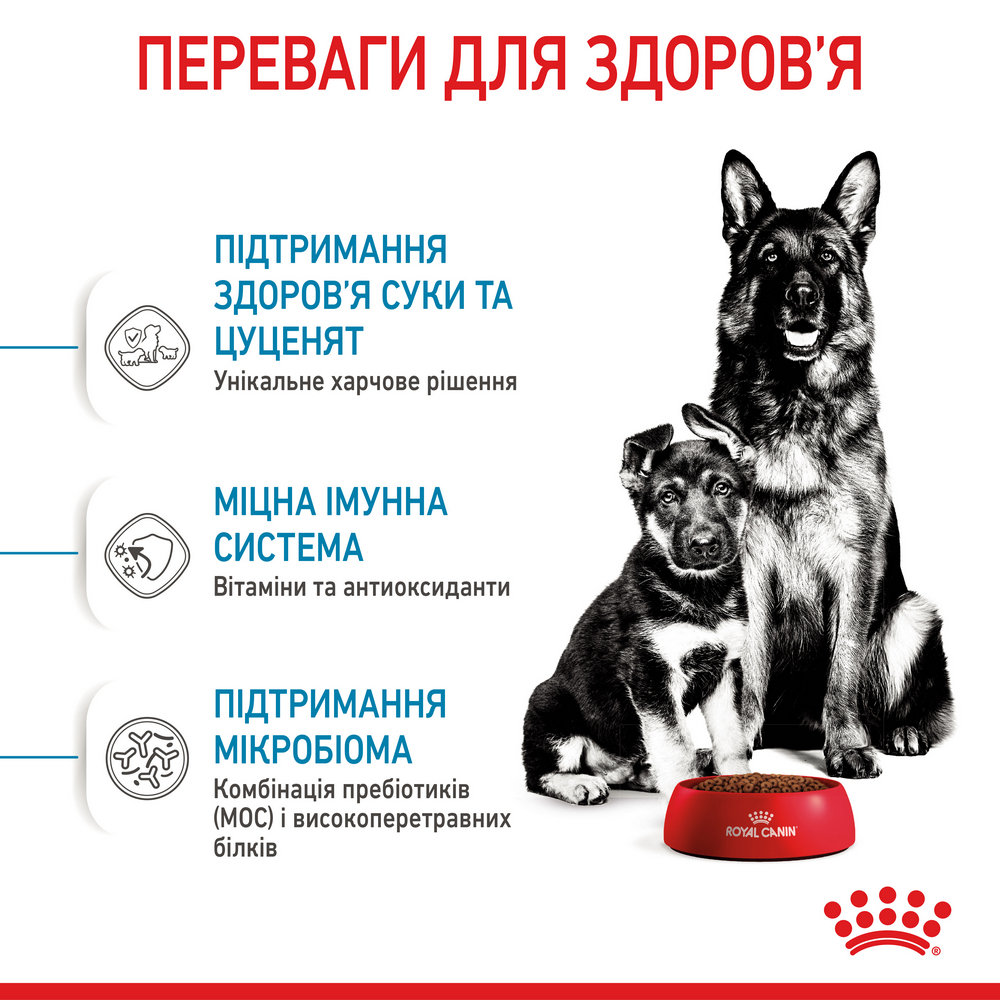 Royal Canin Maxi Starter корм для цуценят великих порід до 2-місячного віку - 4 кг