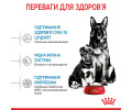Royal Canin Maxi Starter корм для цуценят великих порід до 2-місячного віку - 4 кг