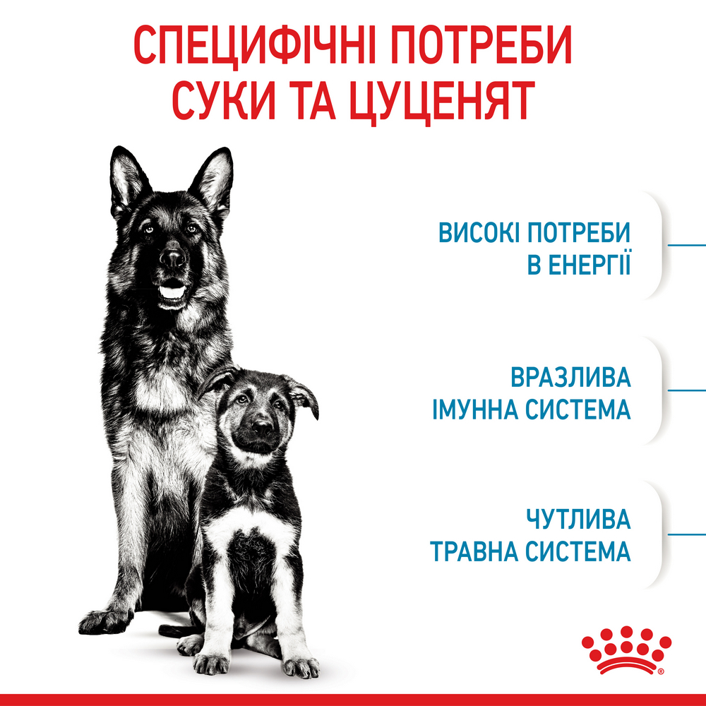 Royal Canin Maxi Starter корм для цуценят великих порід до 2-місячного віку - 4 кг