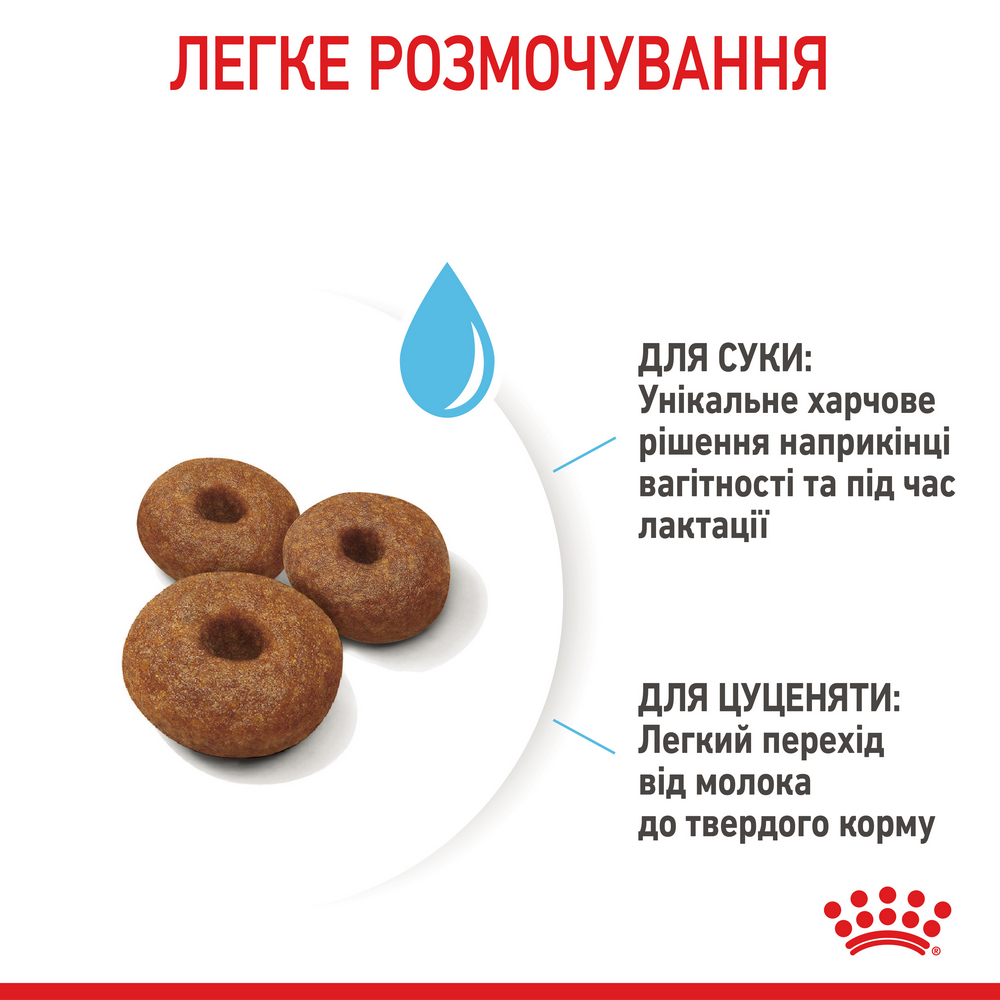 Royal Canin Maxi Starter корм для цуценят великих порід до 2-місячного віку - 4 кг